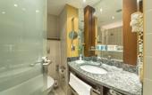 Туры в отель Dorint Hotel Frankfurt Niederrad