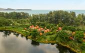 Туры в отель Double Pool Villas by Banyan Tree