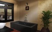 Туры в отель Lotus Village Resort