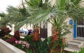Туры в отель Zodiac Hotel Apartments