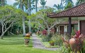 Туры в отель Lotus Bungalows
