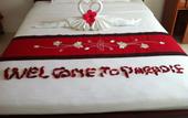 Туры в отель Muine Paradise Resort