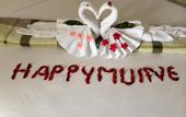 Туры в отель Muine Paradise Resort