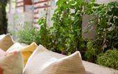 Туры в отель Coco-Mat Hotel Nafsika