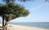 Туры в отель Purimas Beach Hotel & Spa