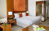 Туры в отель Al Ain Palace Hotel