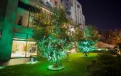 Туры в отель Dosso Dossi Hotels Golden Horn