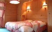 Туры в отель Hotel Alpina
