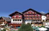 Туры в отель Hotel Alpina