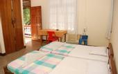 Туры в отель Pinto Guest House