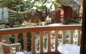 Туры в отель Pinto Guest House