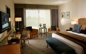Туры в отель Al Ain Rotana