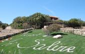 Туры в отель Resort Le Saline Palau
