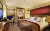 Туры в отель DoubleTree by Hilton Hotel Avanos - Cappadocia