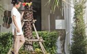 Туры в отель Chi Samui Resort