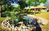 Туры в отель TTC Resort Premium Ninh Thuan