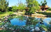 Туры в отель TTC Resort Premium Ninh Thuan