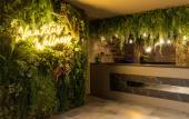 Туры в отель Green House Detox & SPA Hotel
