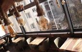 Туры в отель Hotel Balo