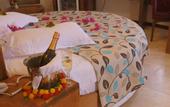Туры в отель Orcey Hotel