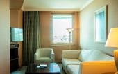 Туры в отель Swissotel Ankara