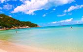 Туры в отель Phangan Bayshore Resort
