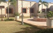 Туры в отель Ancora Cap Cana