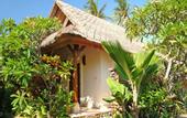 Туры в отель Alam Asmara Dive Resort
