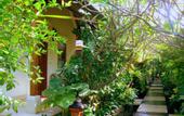 Туры в отель Alam Asmara Dive Resort