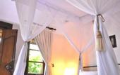 Туры в отель Alam Asmara Dive Resort
