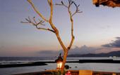 Туры в отель Alam Asmara Dive Resort