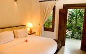 Туры в отель Alam Asmara Dive Resort