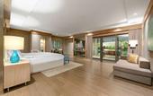 Туры в отель Regnum Carya