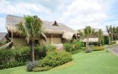 Туры в отель Aroma Beach Resort & Spa