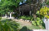 Туры в отель Blue Beach Grand Resort And Spa