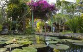 Туры в отель Puri Kelapa Garden Cottages