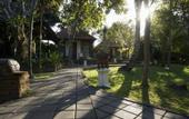 Туры в отель Puri Kelapa Garden Cottages