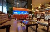 Туры в отель Nasa Vegas Hotel