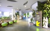 Туры в отель Eden Hotel Kuta