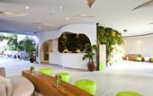 Туры в отель Eden Hotel Kuta