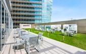 Туры в отель Novotel Abu Dhabi Al Bustan