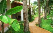 Туры в отель Green Hill Resort and Spa