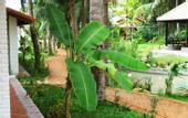 Туры в отель Green Hill Resort and Spa