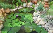 Туры в отель Green Hill Resort and Spa