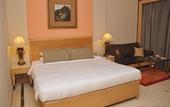 Туры в отель The Hans New Delhi