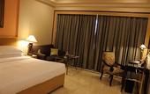Туры в отель The Hans New Delhi