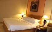 Туры в отель The Hans New Delhi
