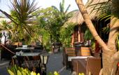 Туры в отель Cham Villas Boutique Luxury Resort