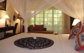 Туры в отель Cham Villas Boutique Luxury Resort