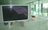 Туры в отель Royal Heaven Villas